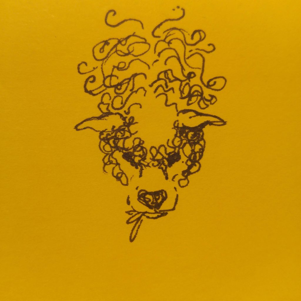 post-it not pen sketch of grazing sheep