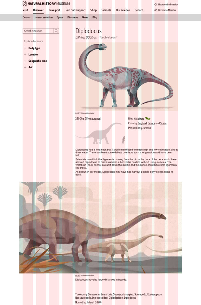 diplodocus desktop grid mockup