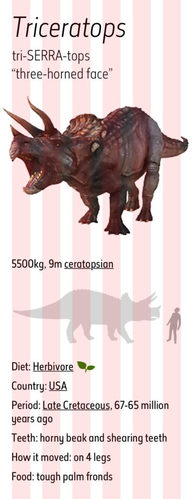 triceratops mobile grid