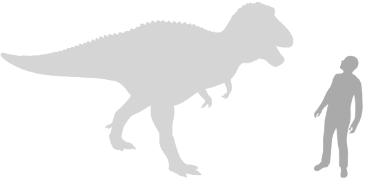 large therapod scale silhouette next to human