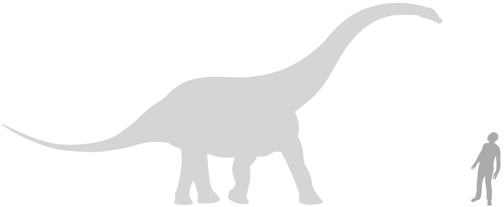 sauropod scale silhouette next to human