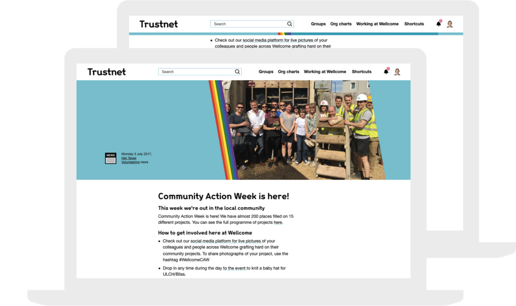 responsive trustnet CSS Pride rainbow